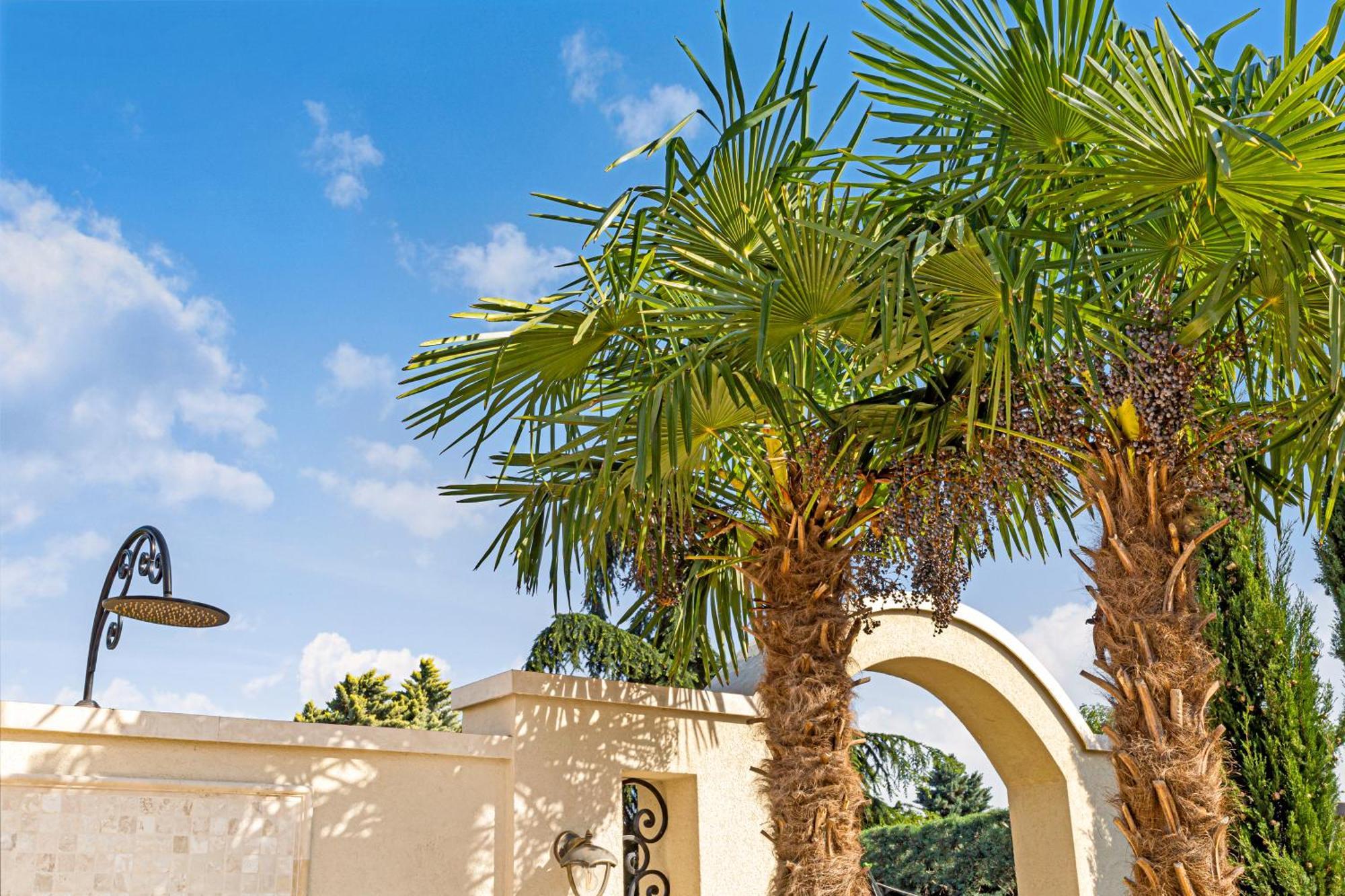 Sika Palladium Garden & Spa Central Apartment Arad Exterior foto