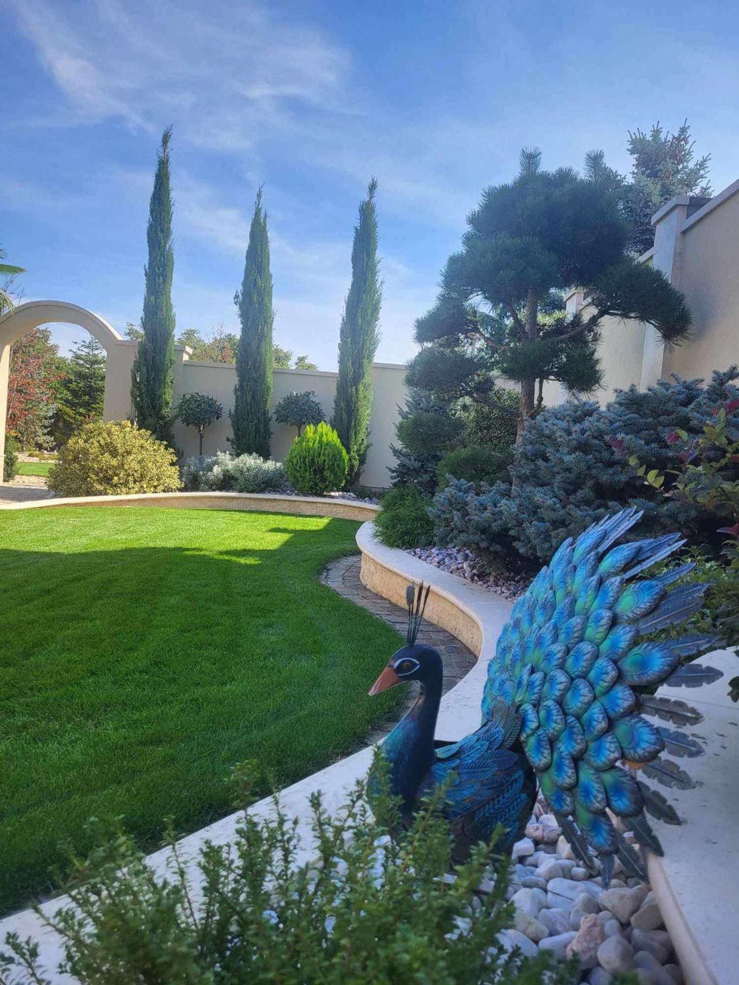 Sika Palladium Garden & Spa Central Apartment Arad Exterior foto